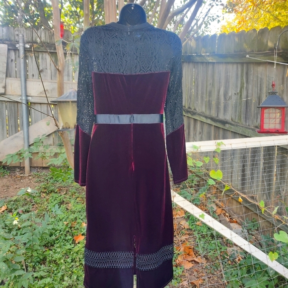 Gorgeous Gothic Holiday Velvet and Lace Dress - Picture 4 of 6